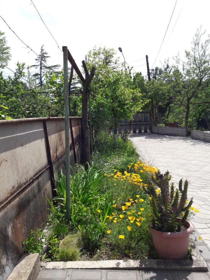 Sataplia District Hotel Kutaisi Exterior photo